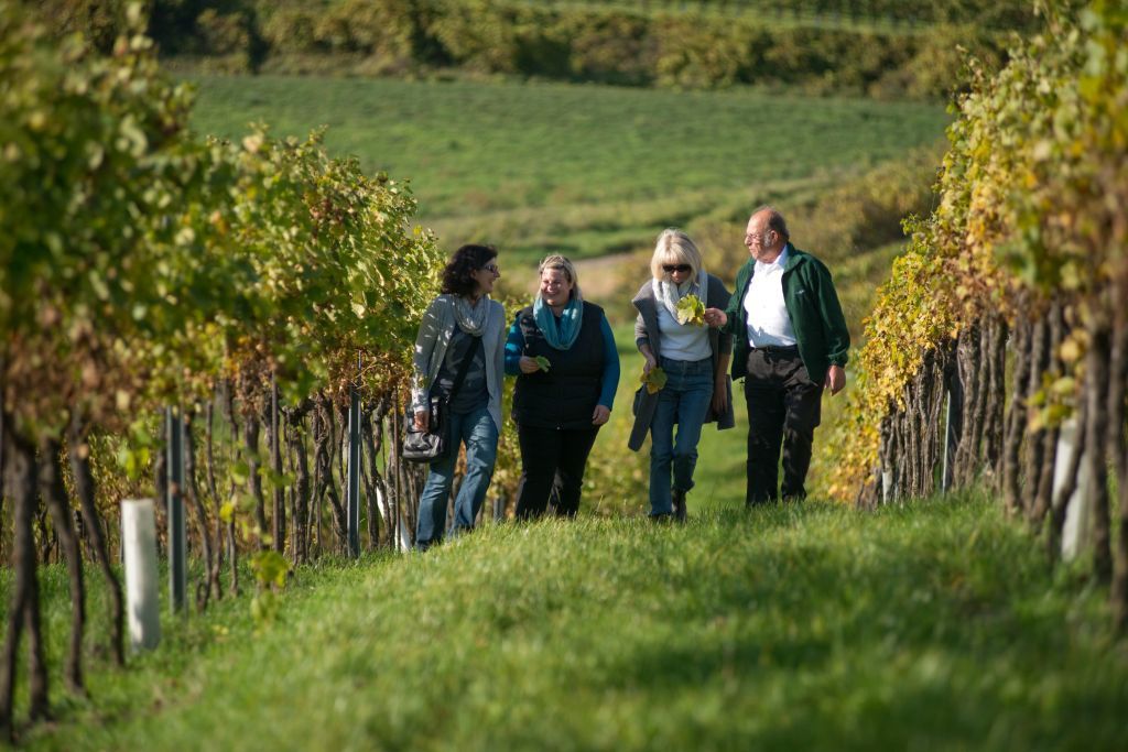 Weingartenwanderung