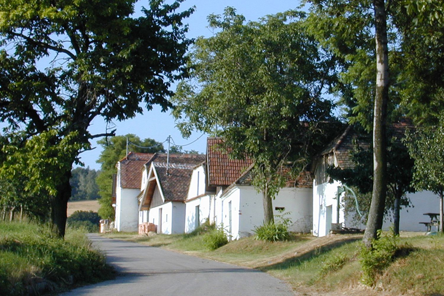Eine ländliche Straße mit weißen Häusern und Bäumen an einem sonnigen Tag.
