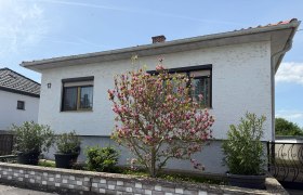 Außenansicht eines weißen Hauses mit blühendem Baum und Pflanzen in Töpfen.