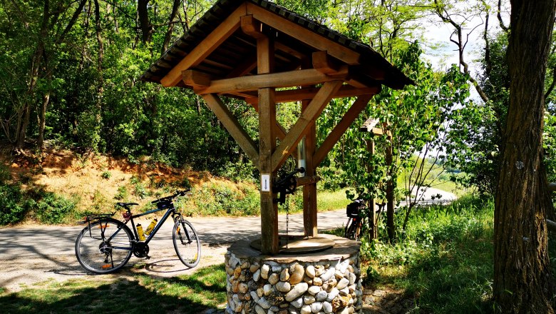 Ein hölzerner Weinbrunnen mit einem Fahrrad daneben, umgeben von Bäumen und grünem Laub.