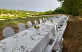 Lange, festlich gedeckte Tafel im Freien mit weißen Tischdecken und Stühlen, umgeben von Natur.