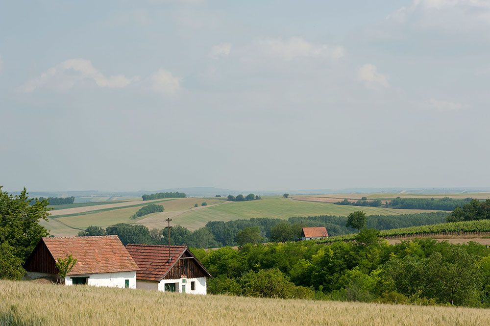 Landschaft mit Feldern, Bäumen und zwei kleinen Häusern mit roten Dächern.