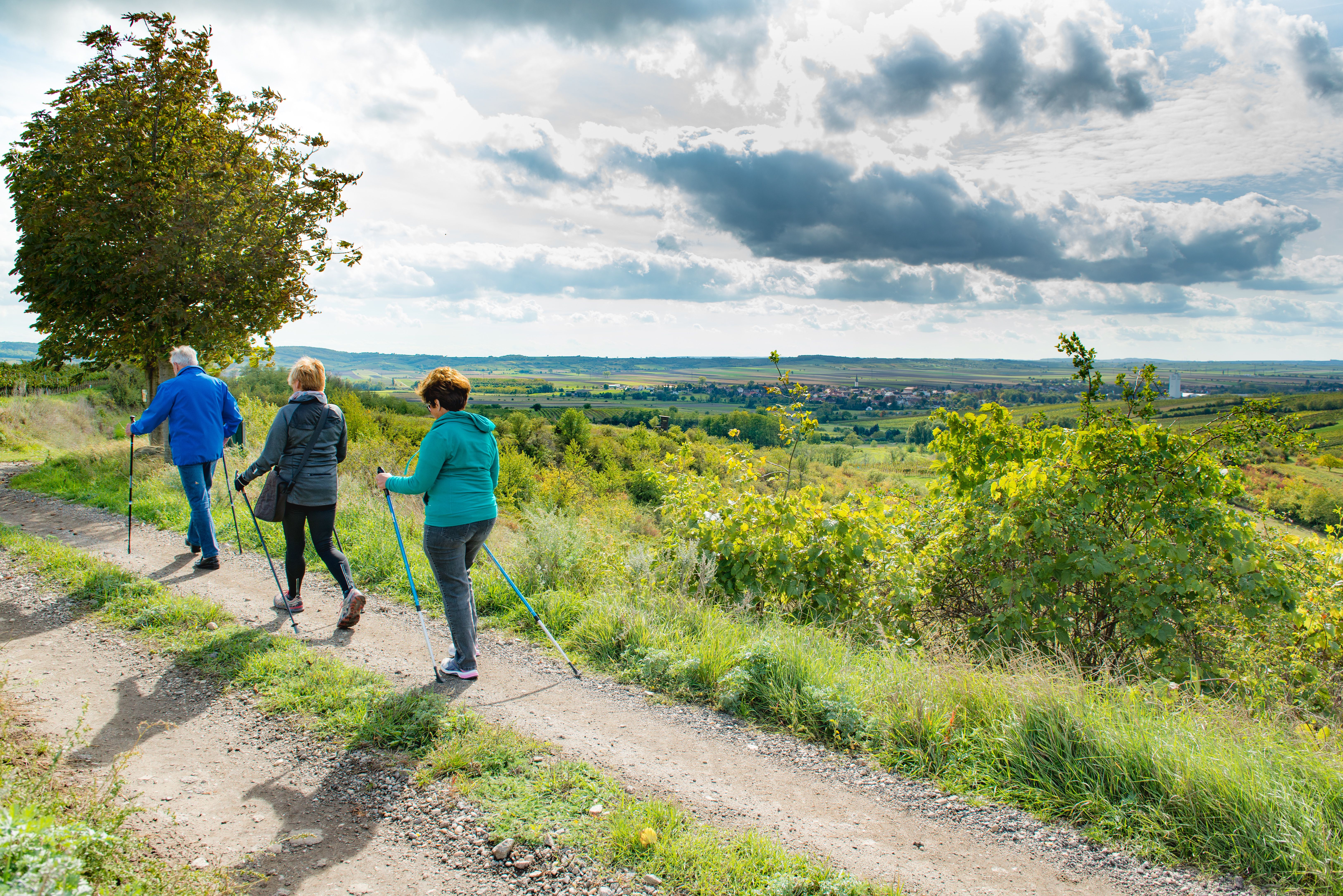 Oftalesn - Weinwandern in Pulkau