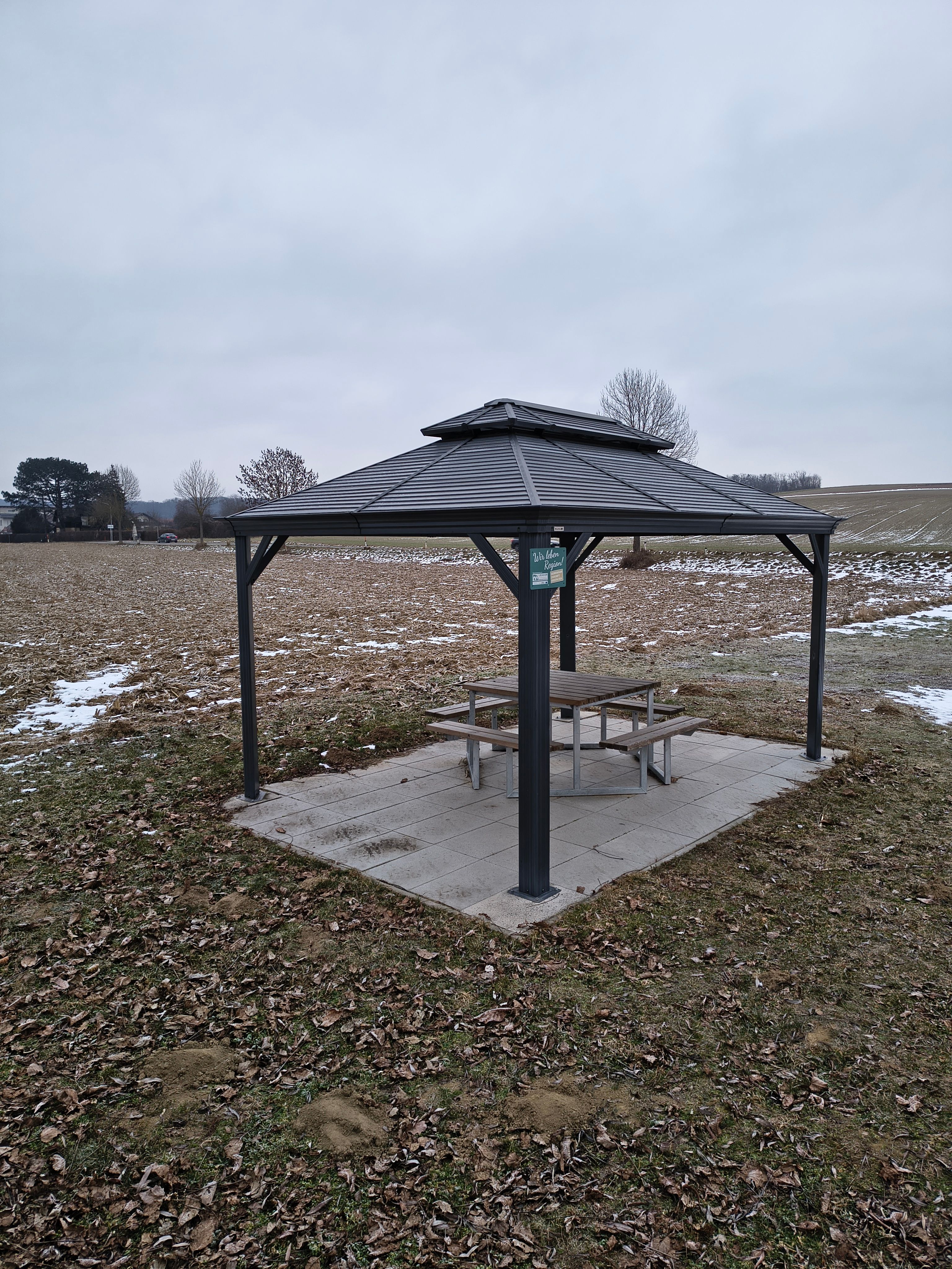 A pavilion with a table and benches in a field with bare trees in the background.