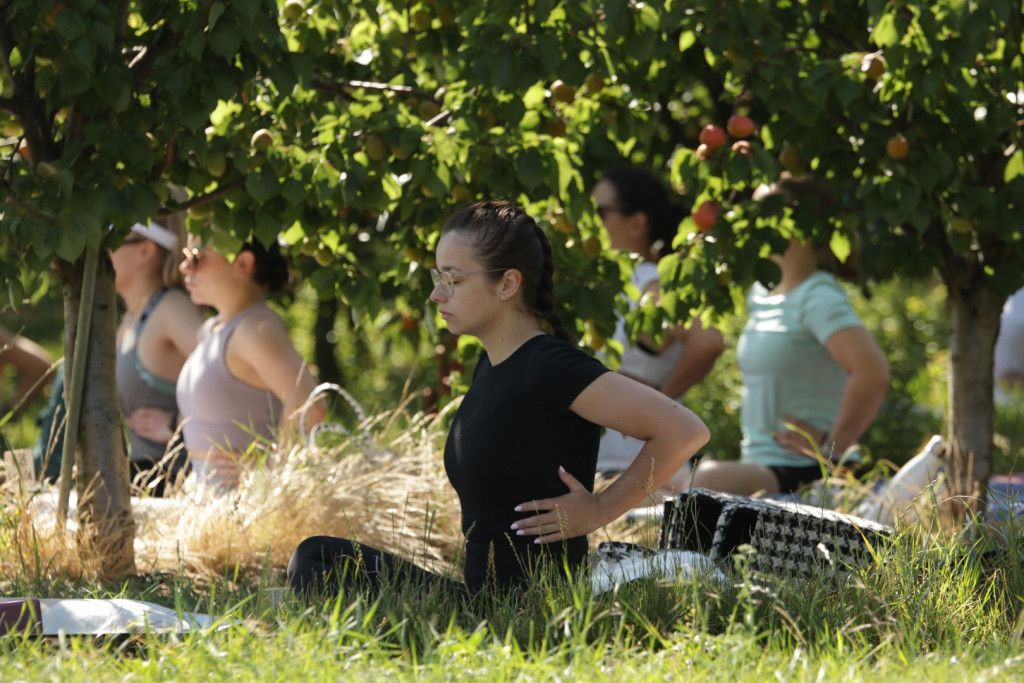 Yoga zwischen den Obstbäumen
