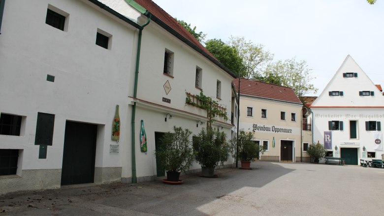 Kellergasse in Poysdorf mit traditionellen Weinh&auml;usern und Pflanzen.