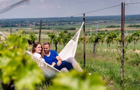 Sommerurlaub im Weinviertel, © Weinviertel Tourismus / Robert Herbst