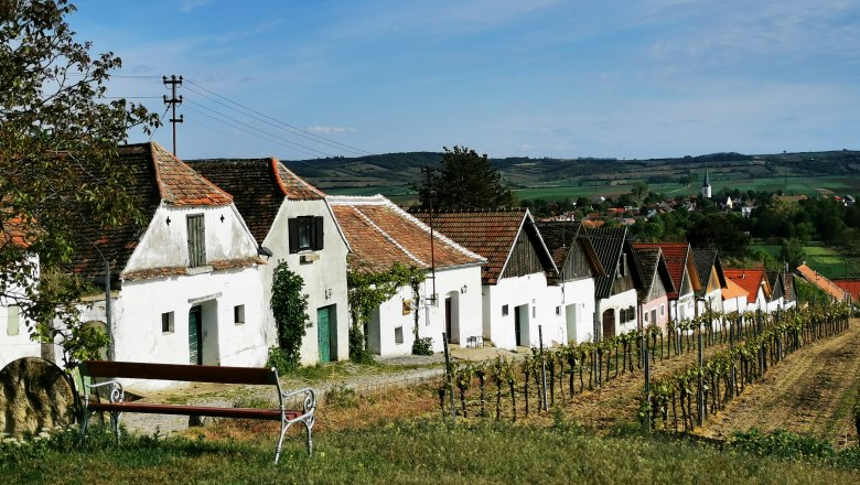 Reihe von Weinkellern in Haugsdorf mit Weinreben im Vordergrund und Dorf im Hintergrund.