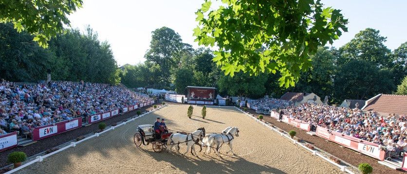 Lipizzanergala