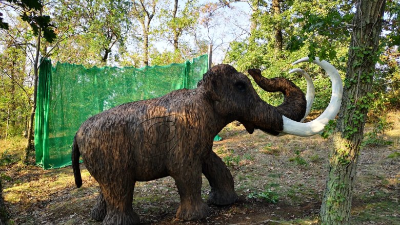 3D-Bogenparcour, © Peter Aufmesser