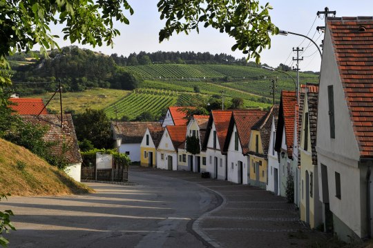 Kellergasse Oagossn in Falkenstein, © Weinviertel Tourismus / Mandl