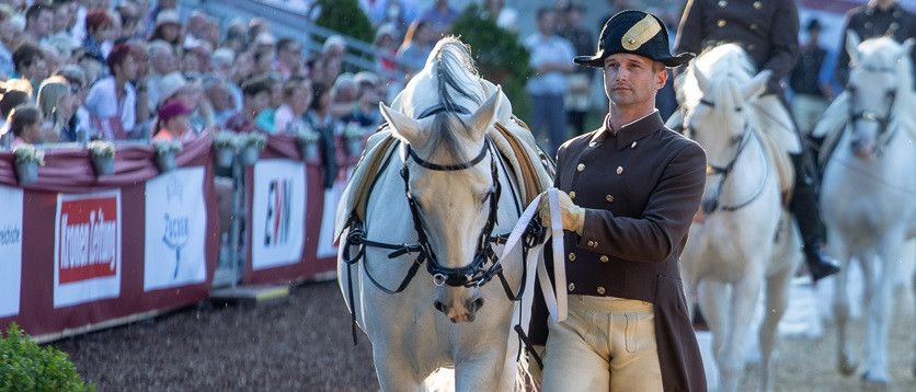 Lipizzanergala