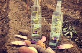 Kartoffelhof Schramm, © Kartoffelhof Schramm