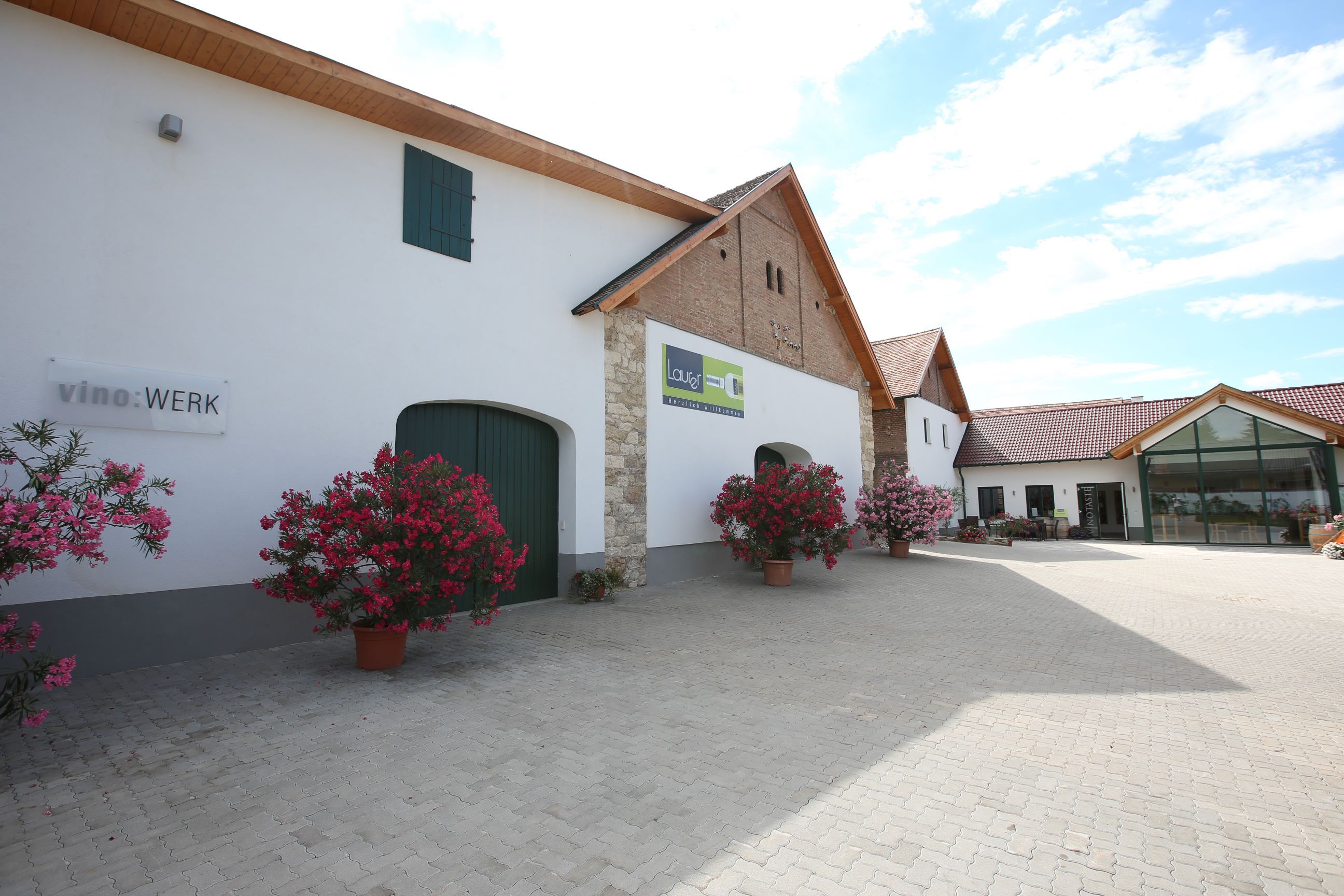 Exterior view of a wine cellar with white walls, green doors and flowering oleander bushes.