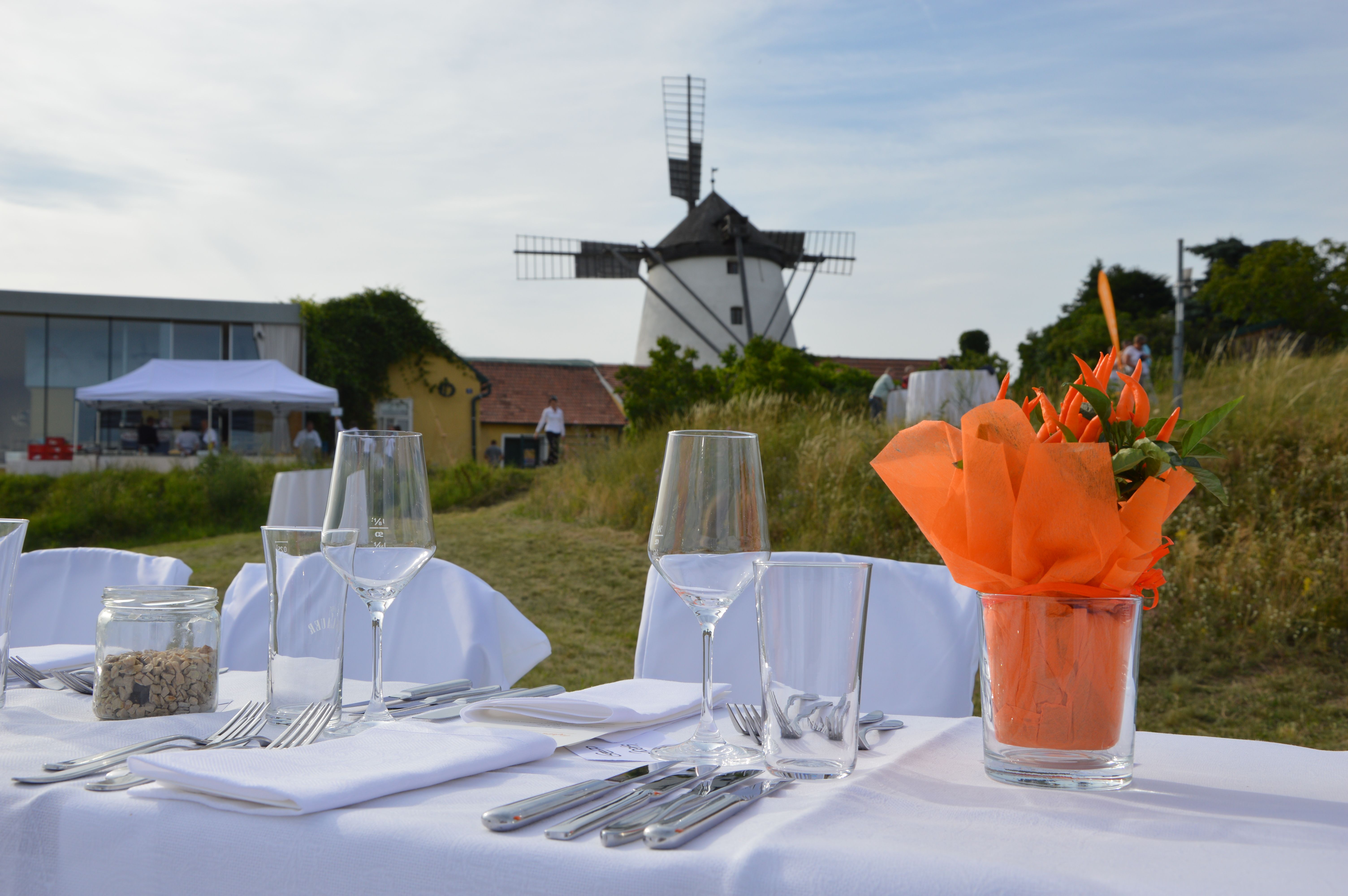 Gedeckter Tisch im Freien mit Windmühle im Hintergrund.