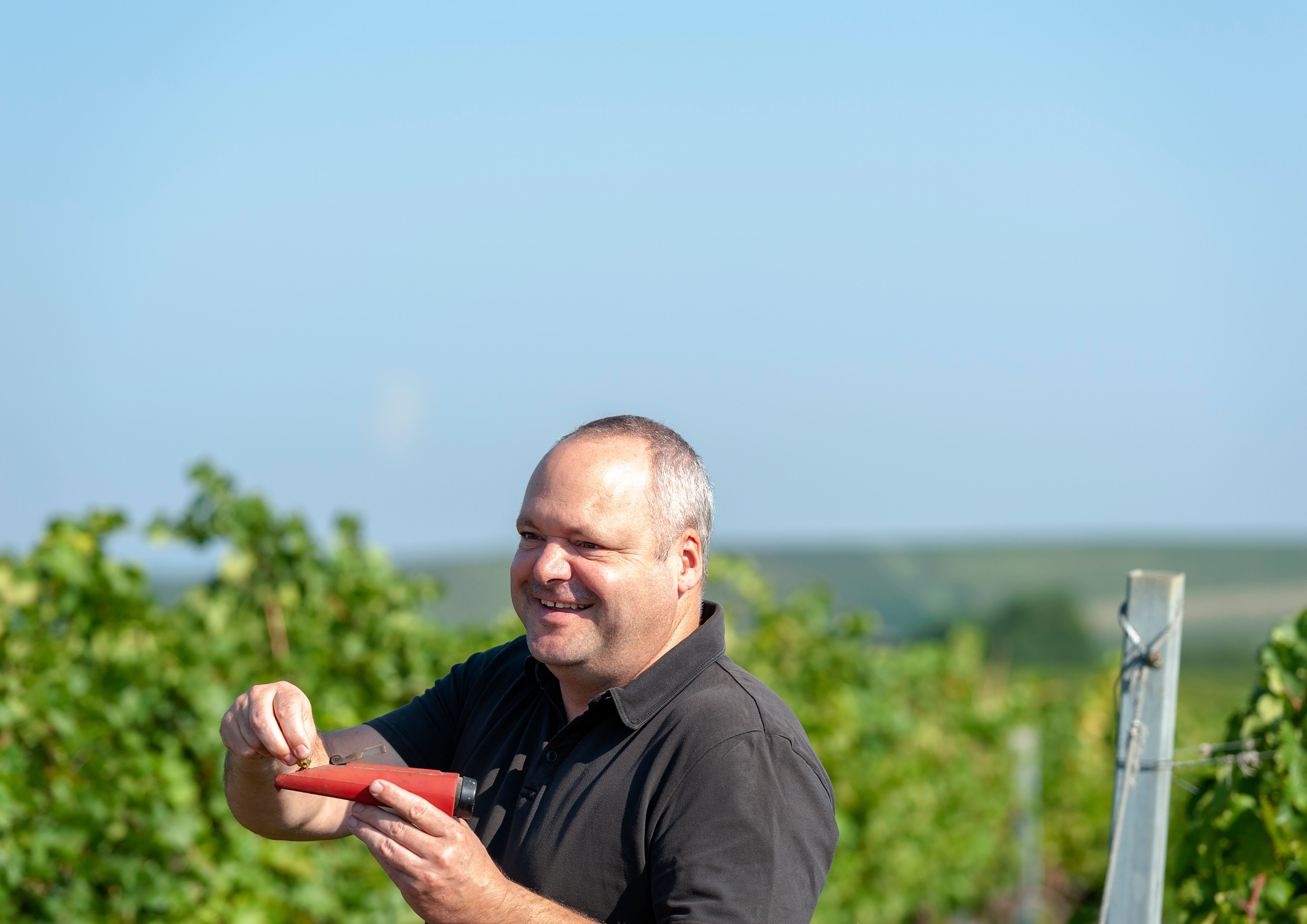 Man in the vineyard with refractometer in hand.