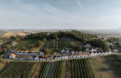 In der malerischen Kellergasse Galgenberg schlängeln sich die charmanten Weinhäuser entlang der sanften Hügel. Die üppigen Weinreben laden dazu ein, die köstlichen Weine der Region zu entdecken und die idyllische Atmosphäre zu genießen. Hier wird jeder Radfahrer von der Schönheit der Landschaft und der herzlichen Gastfreundschaft verzaubert.