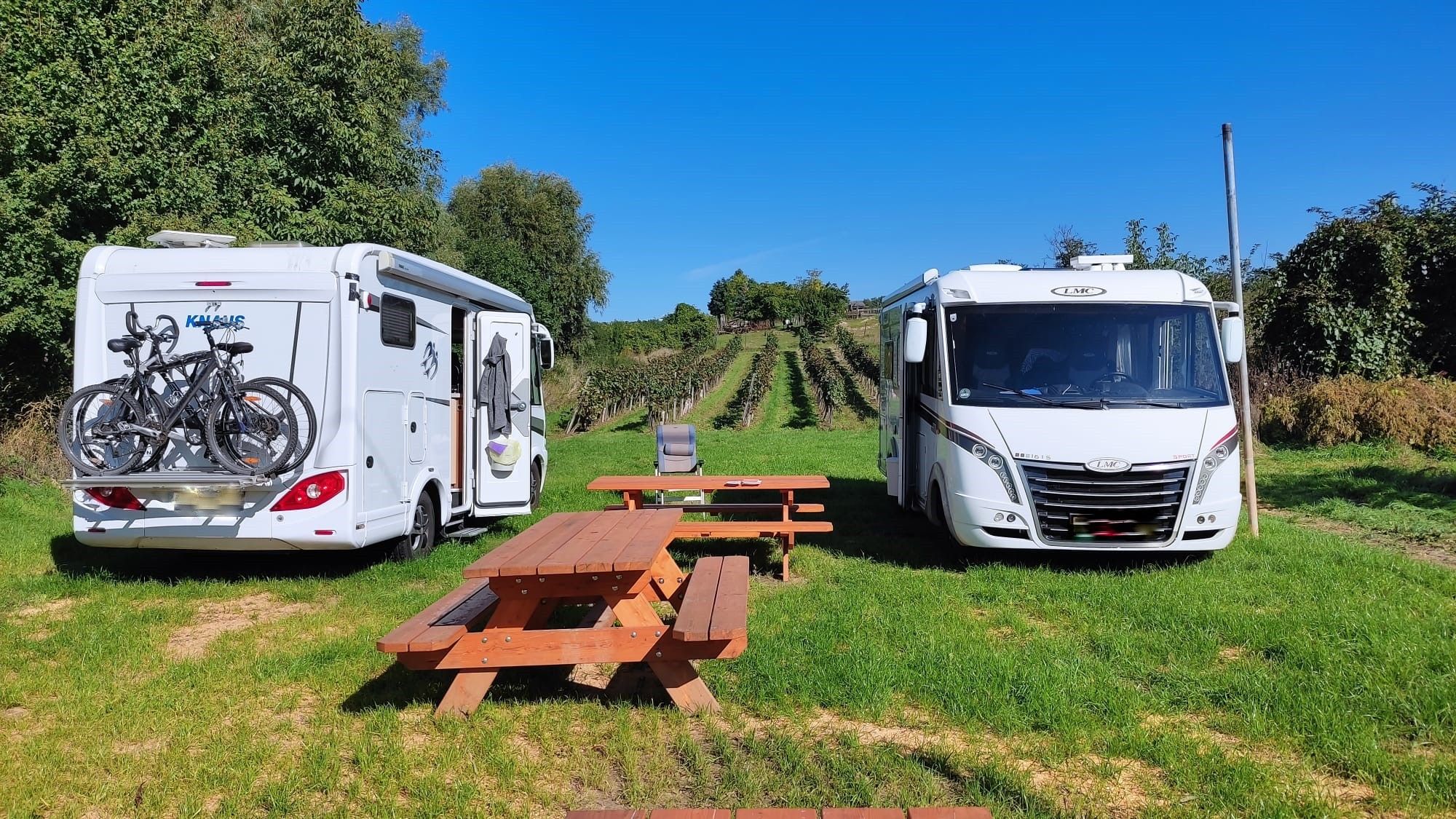 Two mobile homes are parked on a meadow next to a picnic table, with vines in the background.