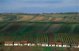 Weinberge im s&uuml;dlichen Weinviertel mit kleinen H&auml;usern im Vordergrund.