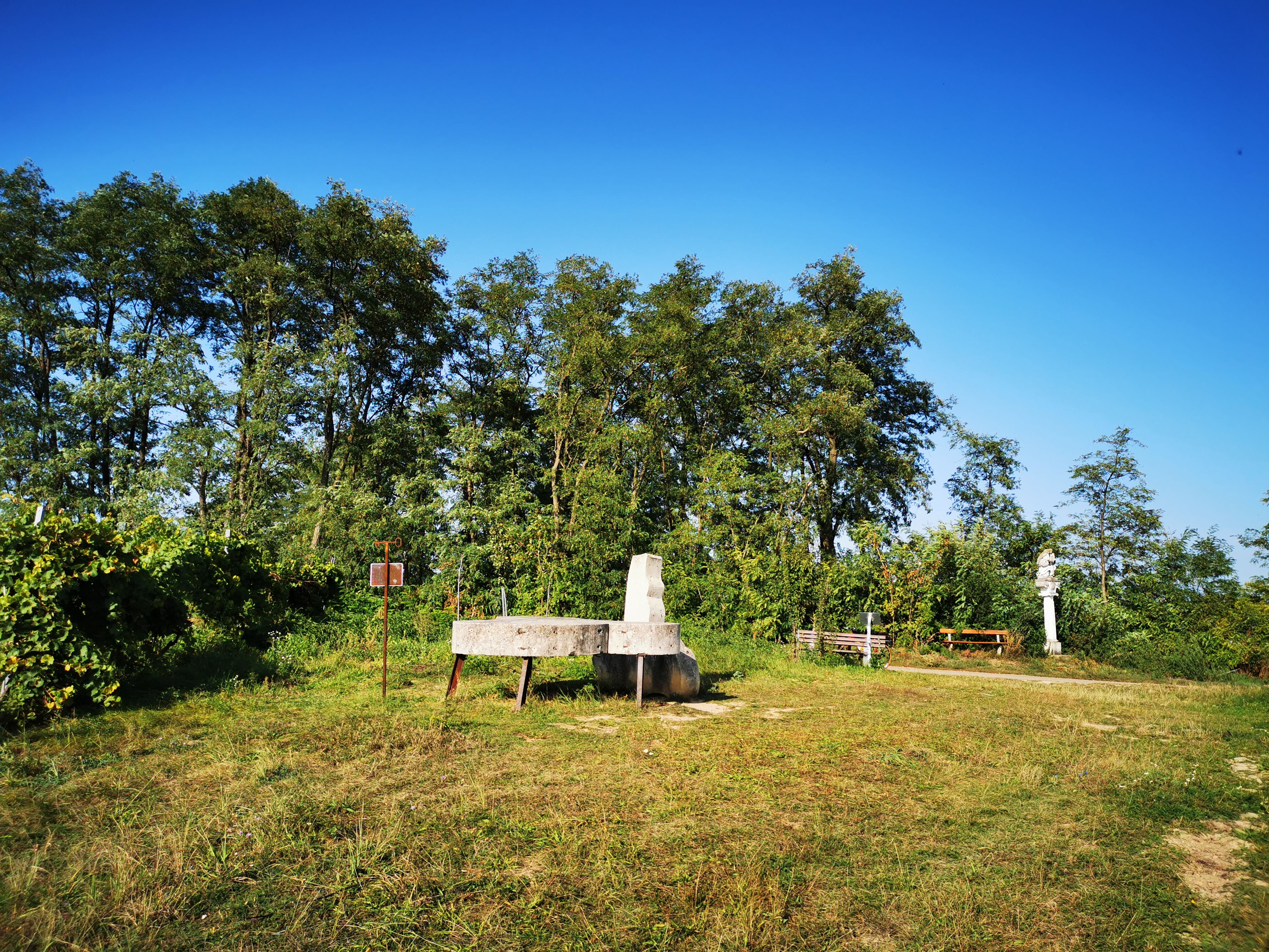 Meadow with benches and sculptures in front of trees and a blue sky.