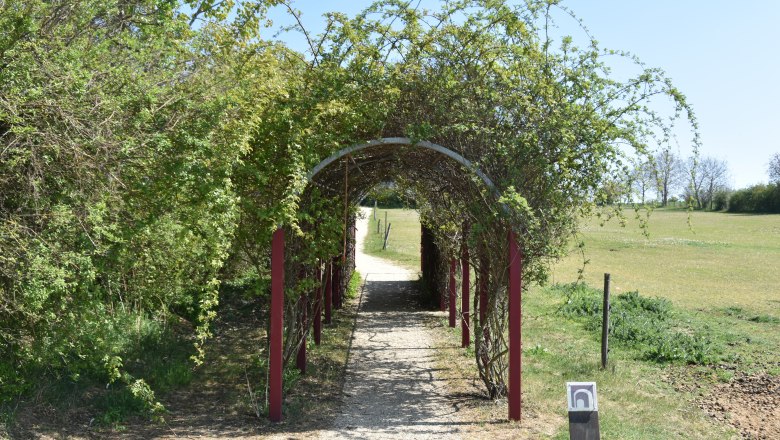 A pergola overgrown with plants on a hiking trail in a rural setting.