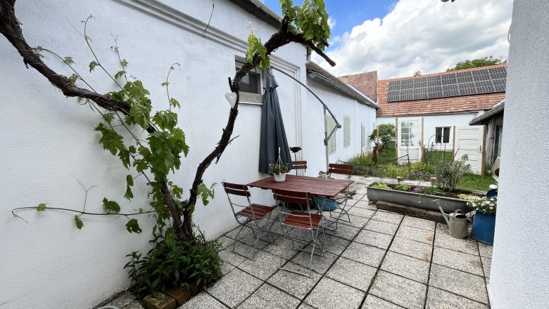Terrasse mit Tisch, St&uuml;hlen und Weinrebe an wei&szlig;er Wand, Solarpanel auf Dach im Hintergrund.