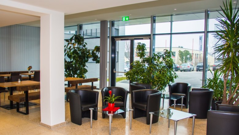 Innenansicht eines modernen Cafés mit schwarzen Ledersesseln und Glastischen, umgeben von großen Pflanzen und Fenstern.