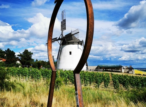 Schlüsselerlebnis mit Blick zur Windmühle, © Weinstraße Weinviertel