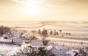 Winterlicher Galgenberg in Wildendürnbach, © Niederösterreich-Werbung / Robert Herbst