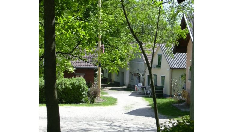 Eine idyllische Kellergasse mit kleinen Häusern und viel Grün im Frühling.