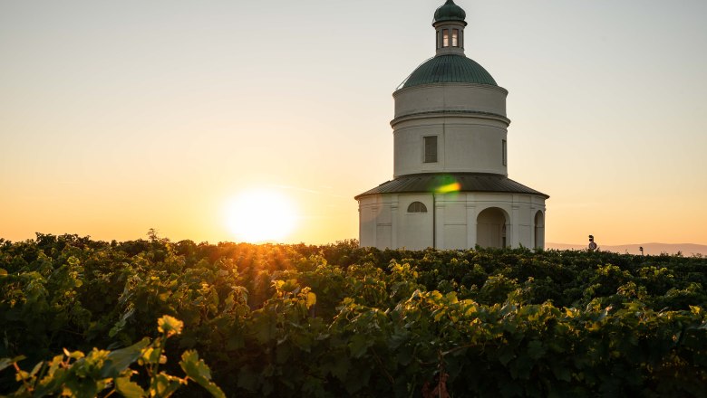 Eine wei&szlig;e Kapelle steht inmitten eines Weinbergs bei Sonnenuntergang.