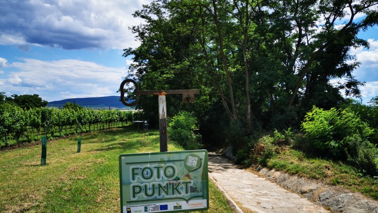 Ein Weg durch eine grüne Landschaft mit einem Schild 'Foto Punkt' im Vordergrund.