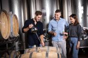 Führung durch Weinviertler Weingüter, © Weinviertel Tourismus / Doris Schwarz-König