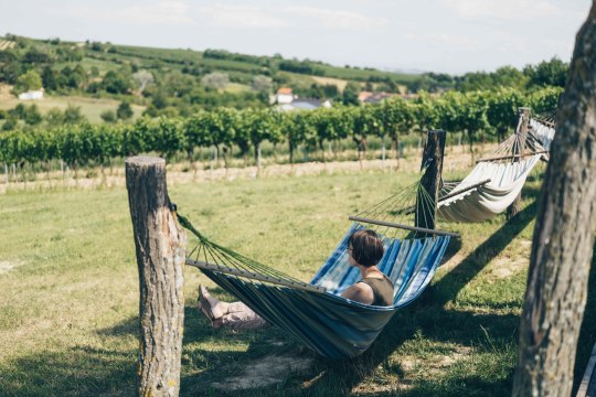 Zugticket buchen &amp; Kurzurlaub beim Wein genießen!, © Niederösterreich Werbung / Ian Ehm