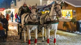 Weihnachtsmarkt in Deutsch-Wagram, © Stadtgemeinde Detusch-Wagram