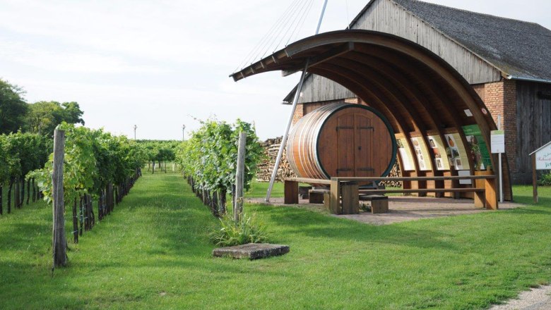 Weinberg mit großem Holzfass und Infotafeln in Hohenruppersdorf.