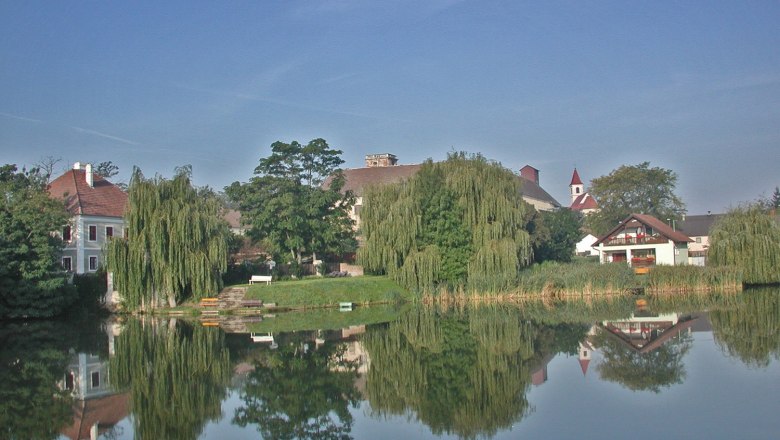 Ein ruhiger Teich mit Spiegelung von Bäumen und Gebäuden in Niederabsdorf.