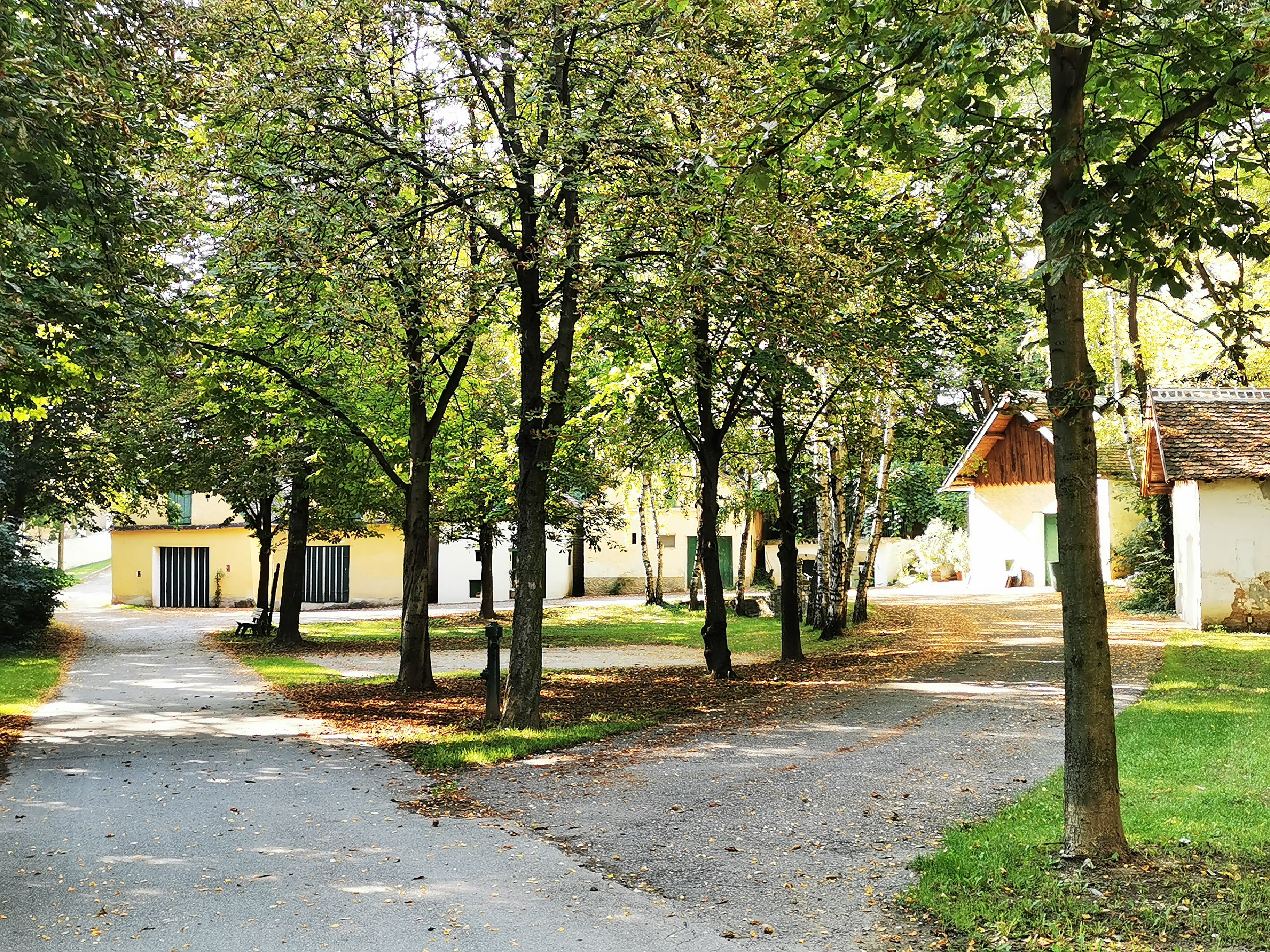 Ein ruhiger Park mit Bäumen und kleinen Gebäuden im Hintergrund.
