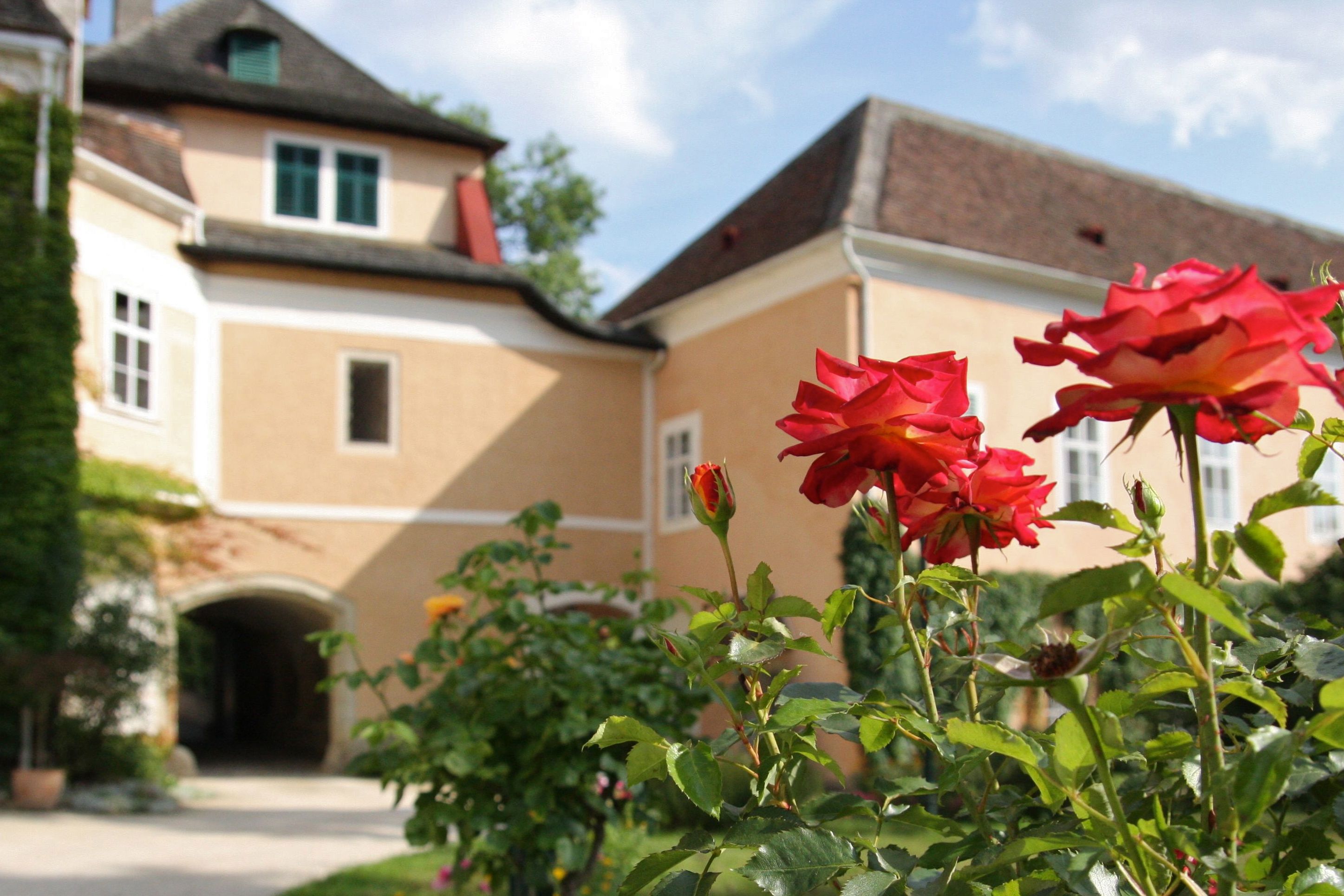 Nahaufnahme von roten Rosen vor einem gelben Schlossgebäude mit Dach und Fenstern.