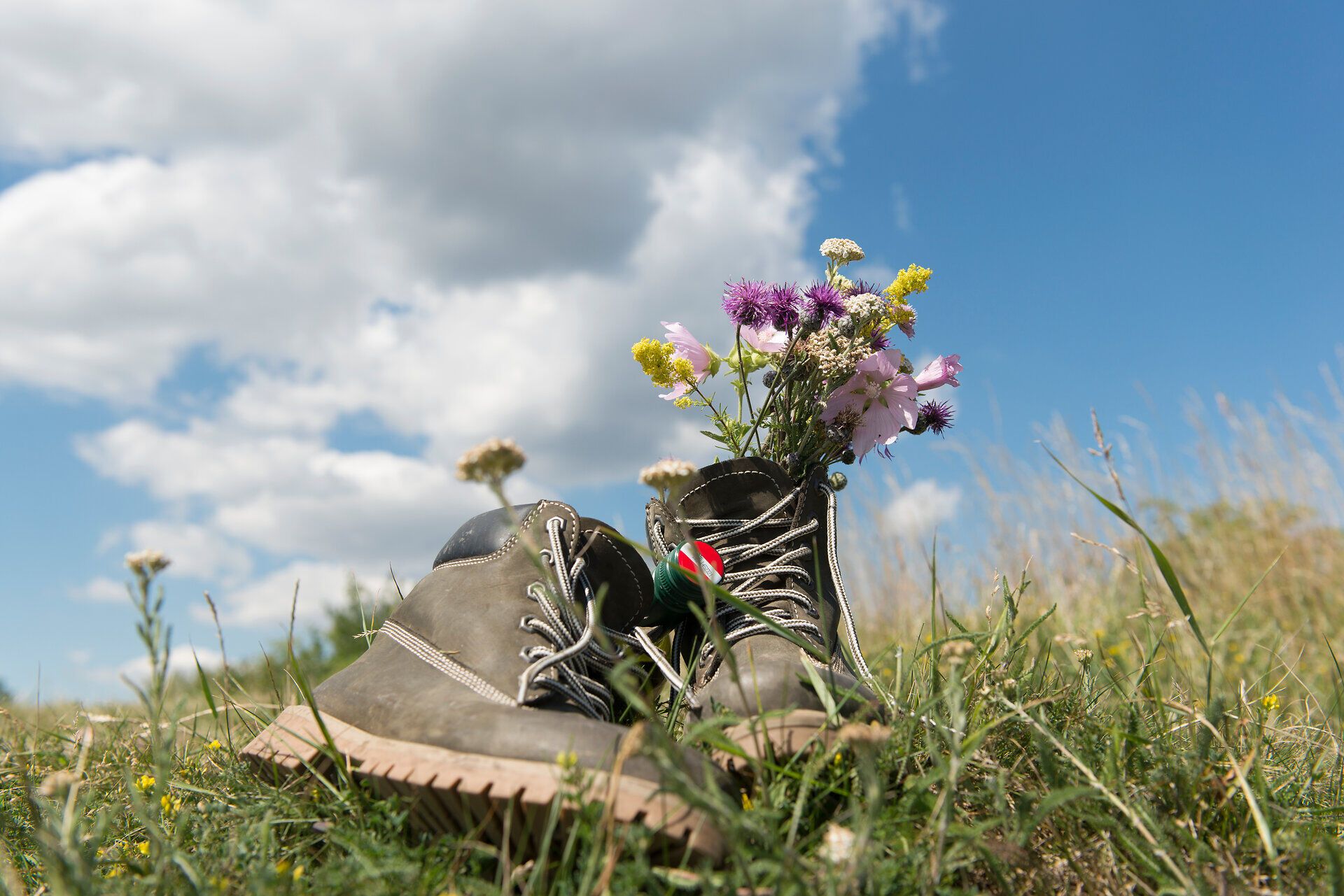Ein Paar robuste Wanderschuhe steht im hohen Gras, gefüllt mit bunten Wildblumen, die die Schönheit der Natur widerspiegeln. Der strahlend blaue Himmel und die sanften Wolken schaffen eine friedliche Atmosphäre, die zum Entspannen und Erkunden einlädt.
