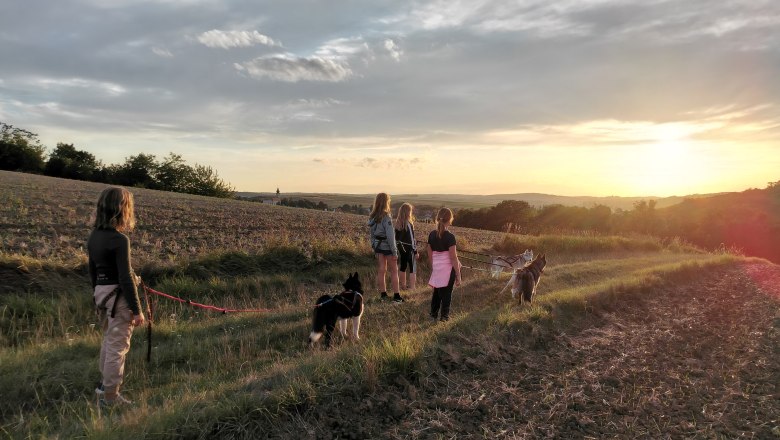 Husky-Wanderung, © Snowdragons / Lukas Mikulics