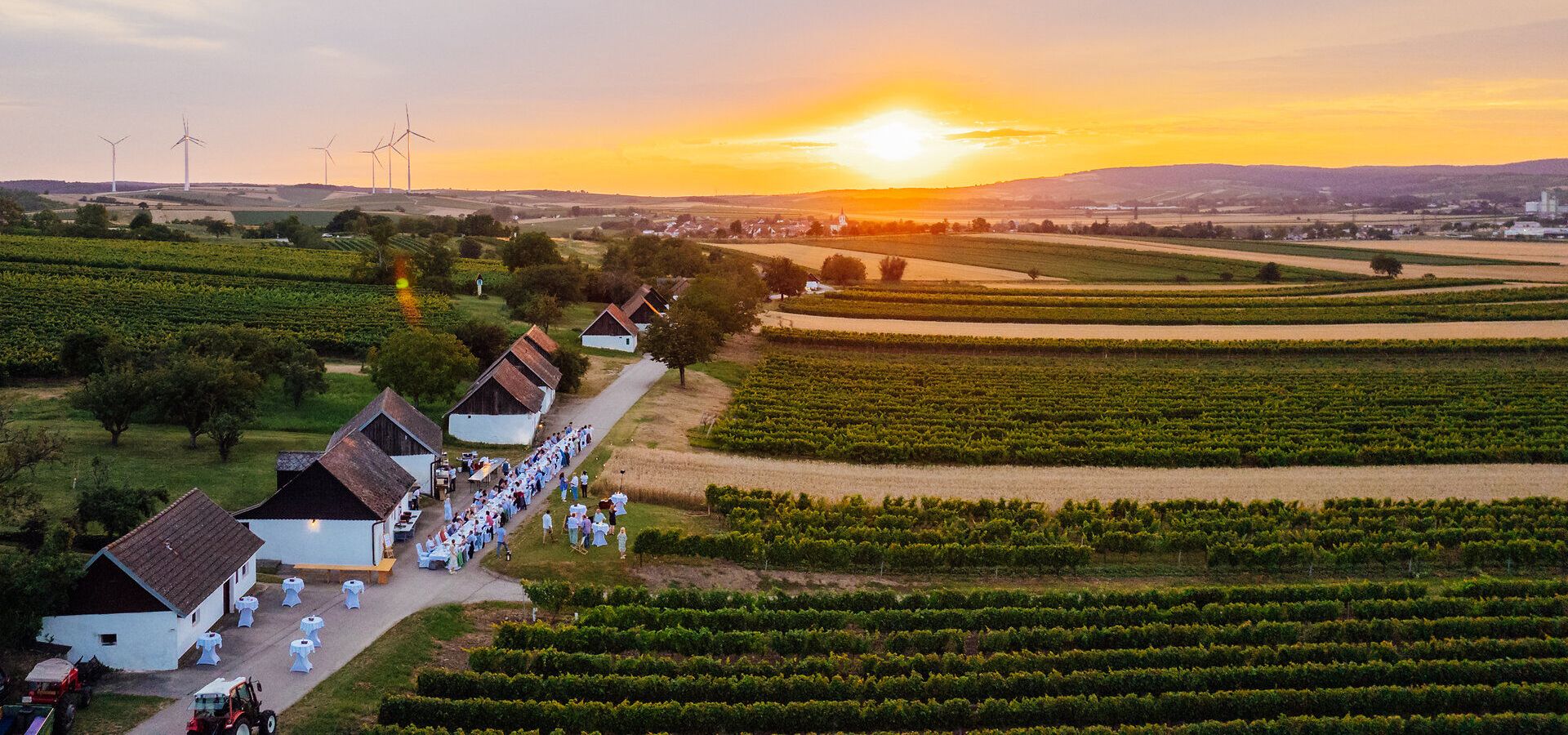 In der malerischen Kellergasse „Alte Geringen“ entfaltet sich ein zauberhaftes Ambiente, während die Sonne sanft hinter den sanften Hügeln des Weinviertels untergeht. Die Tische sind festlich gedeckt und laden dazu ein, die kulinarischen Köstlichkeiten der Region zu genießen, umgeben von üppigen Weinreben und dem Duft des nahen Weins.