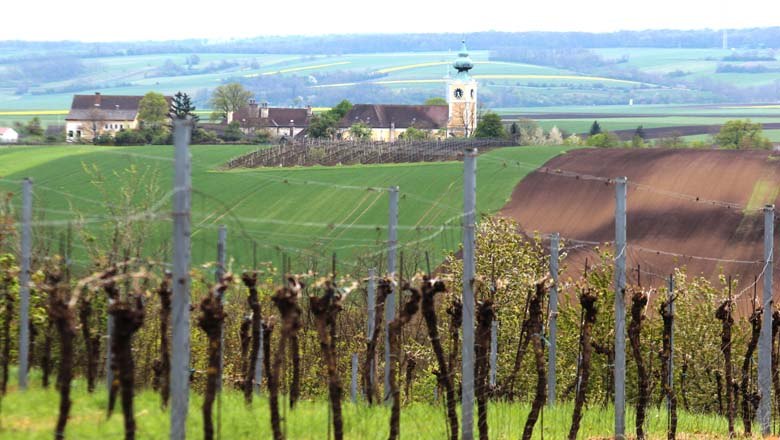 Blick auf Kirche, © Gemeinde Velm-Götzendorf