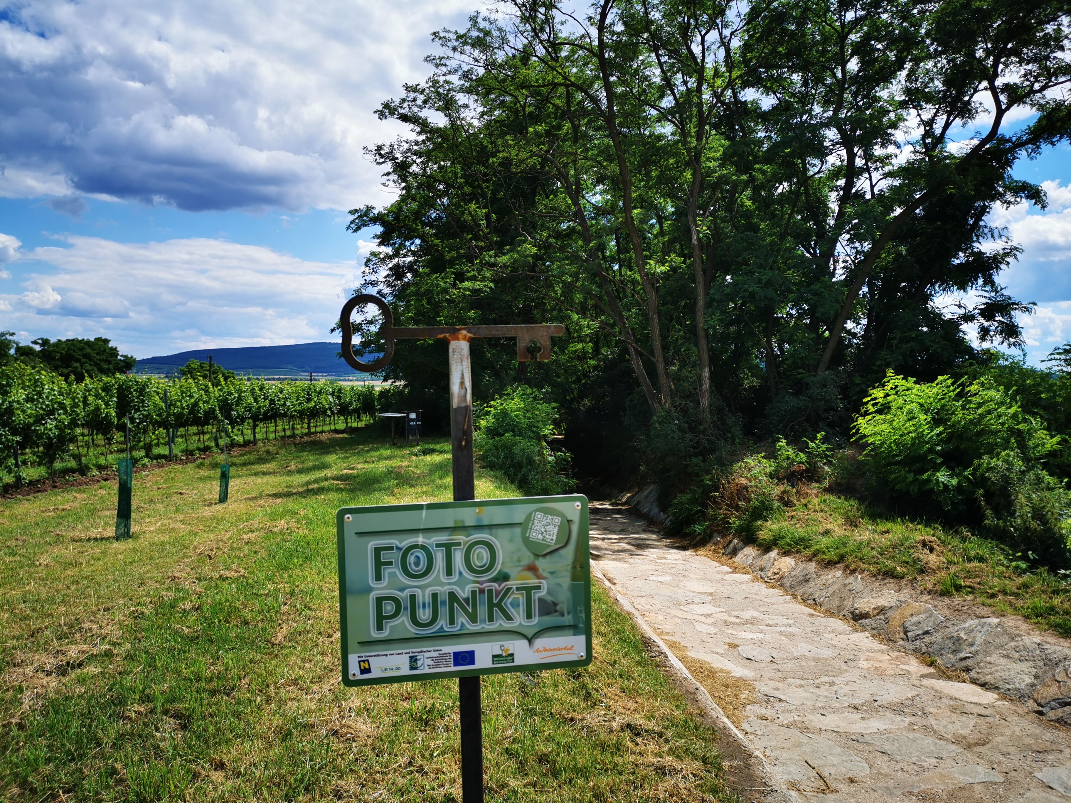 A path through a green landscape with a 'photo point' sign in the foreground.