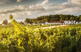 sklepní uličky, © Niederösterreich Werbung / Michael Liebert