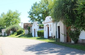 Reihe von traditionellen, weiß getünchten Weinkellern mit begrünten Dächern und Bäumen im Hintergrund.