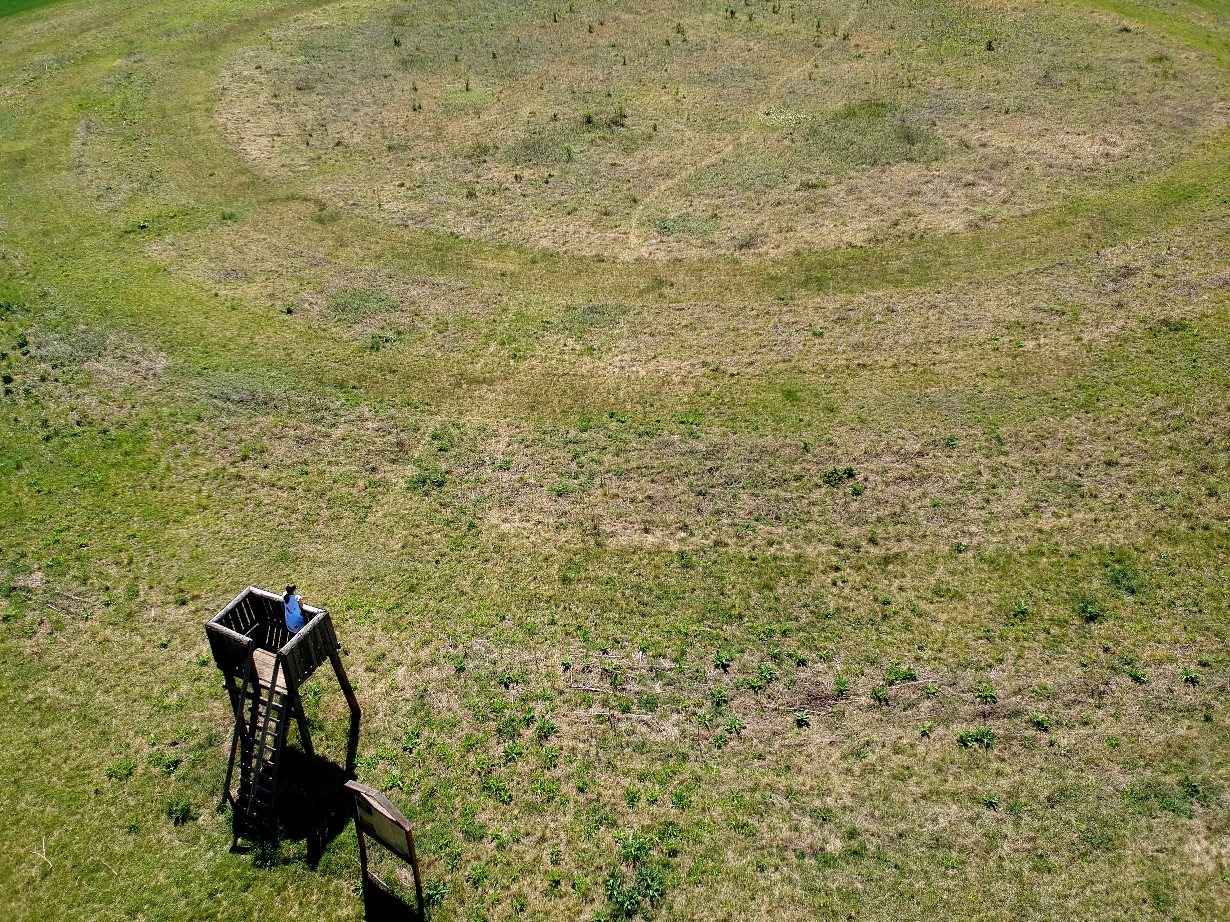 Luftaufnahme eines großen, kreisförmigen Grabens auf einer Wiese mit einem Aussichtsturm im Vordergrund.