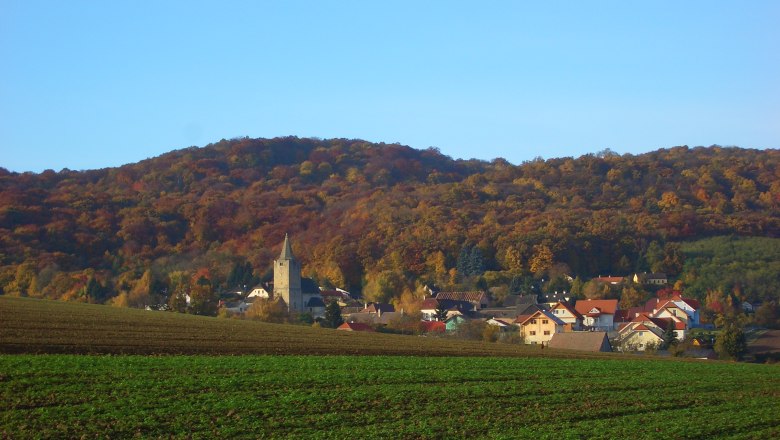 Landscape view of Michelstetten with church and autumn-colored forest in the background.