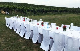 Lange, festlich gedeckte Tafel im Freien vor einem Weinberg.