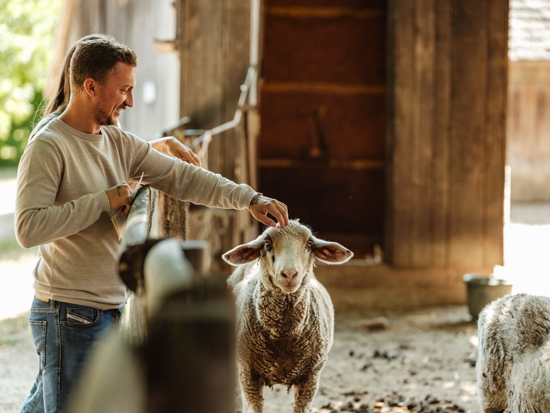 Inmitten des idyllischen Weinviertler Museumsdorfs vermittelt der lebendige Bauernhof ein Gefühl von Tradition und ländlicher Idylle. Ein freundlicher Schäfer streichelt sanft das Schaf, während die Sonne sanft durch die Bäume scheint und die friedliche Atmosphäre des Lebens auf dem Land unterstreicht.